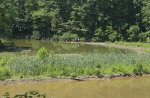 White Park bridge and trail project proving complicated